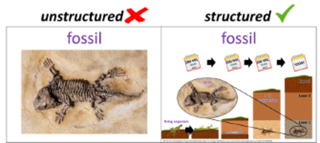An unstructured fossil image compared with a structured visual connecting fossils to their meaning.