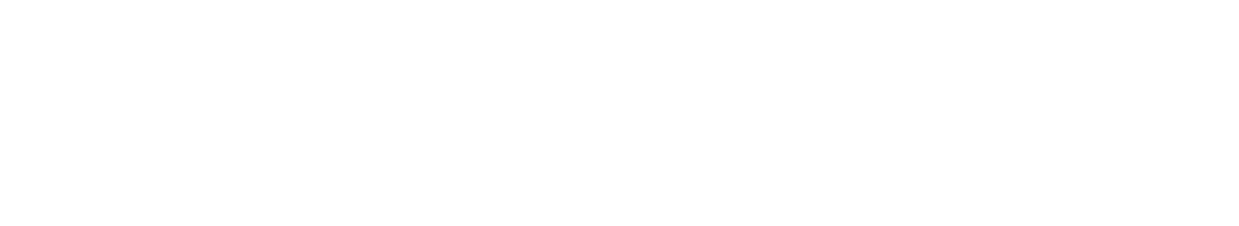 Seidlitz Education Logo