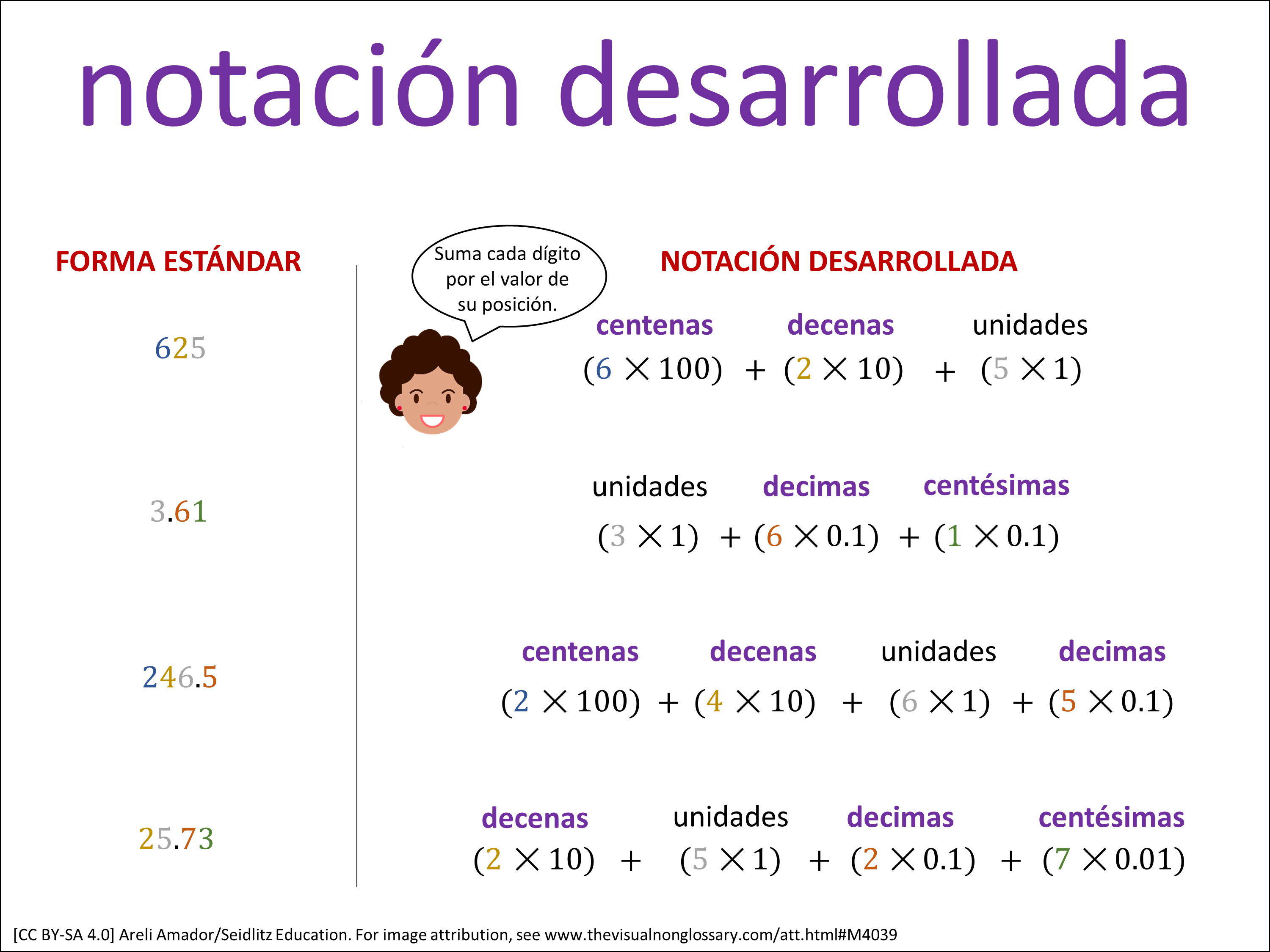 Vocab Visual