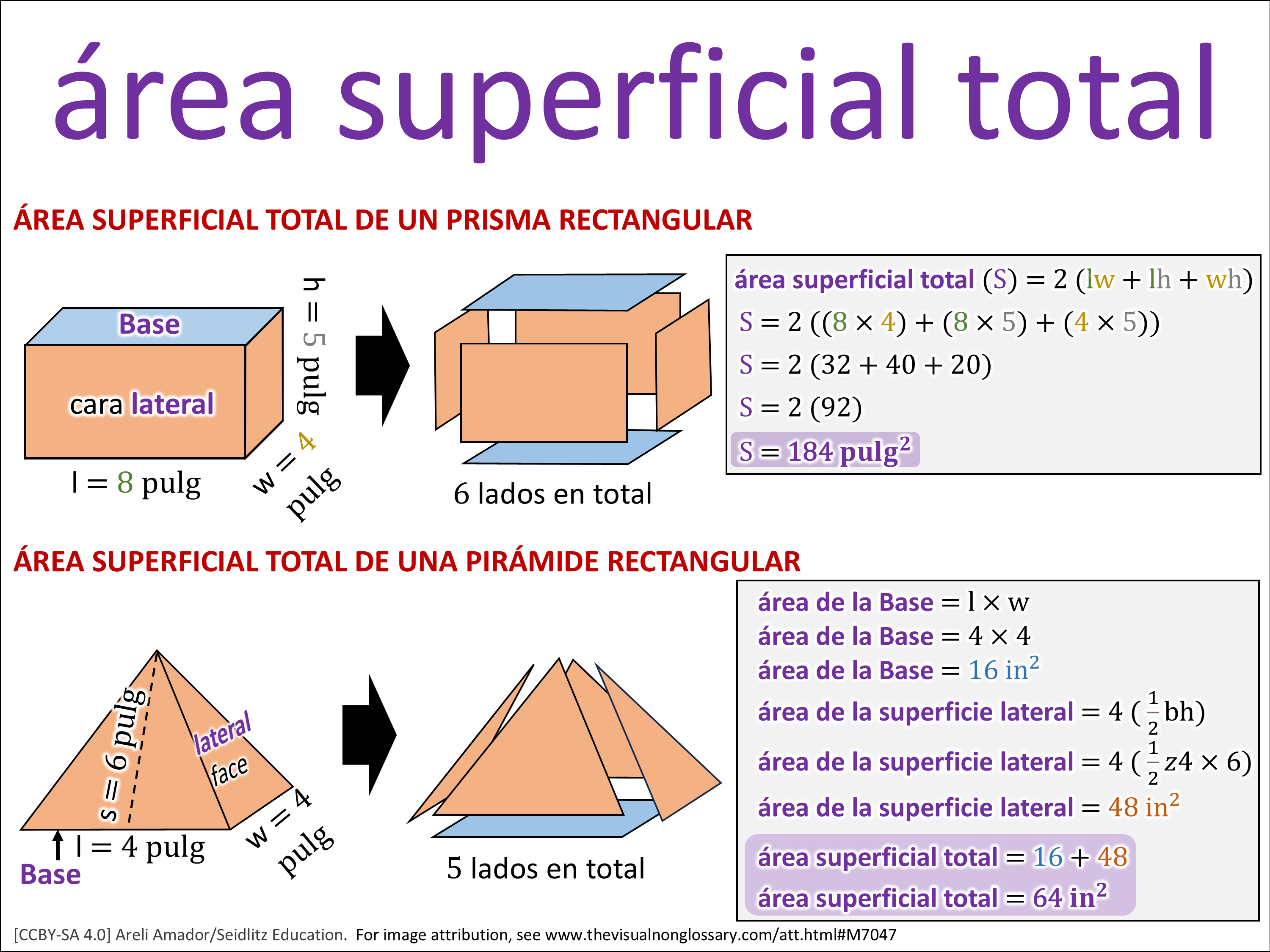 Vocab Visual