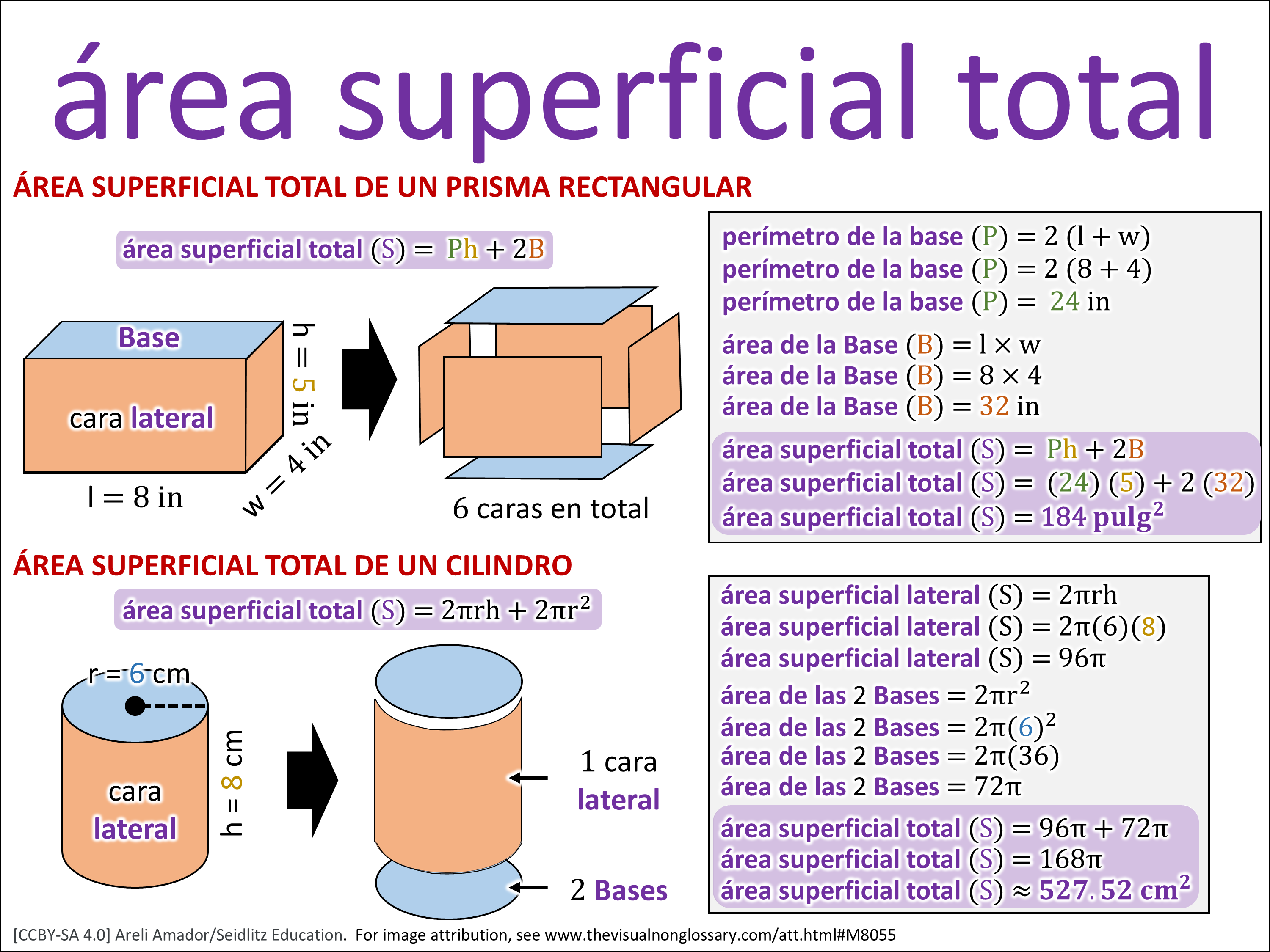 Vocab Visual