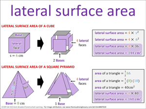 lateral surface area visual