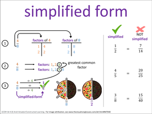 simplified form visual