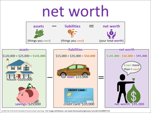 net worth visual