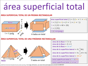 área superficial total visual