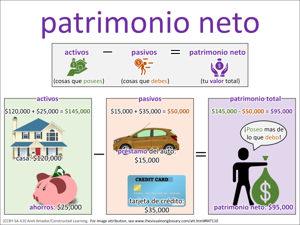 patrimonio neto visual