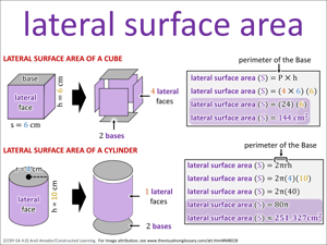 lateral surface area visual