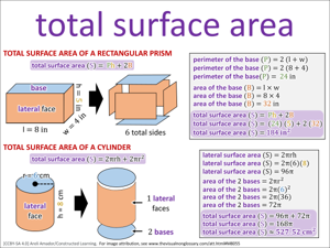 total surface area visual