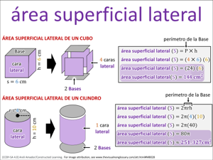 área superficial lateral visual
