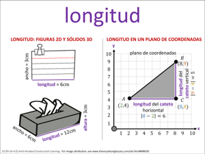 longitud visual