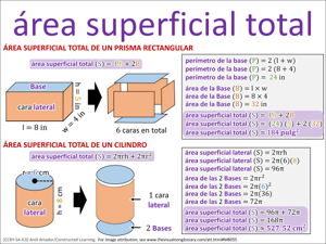 área superficial total visual