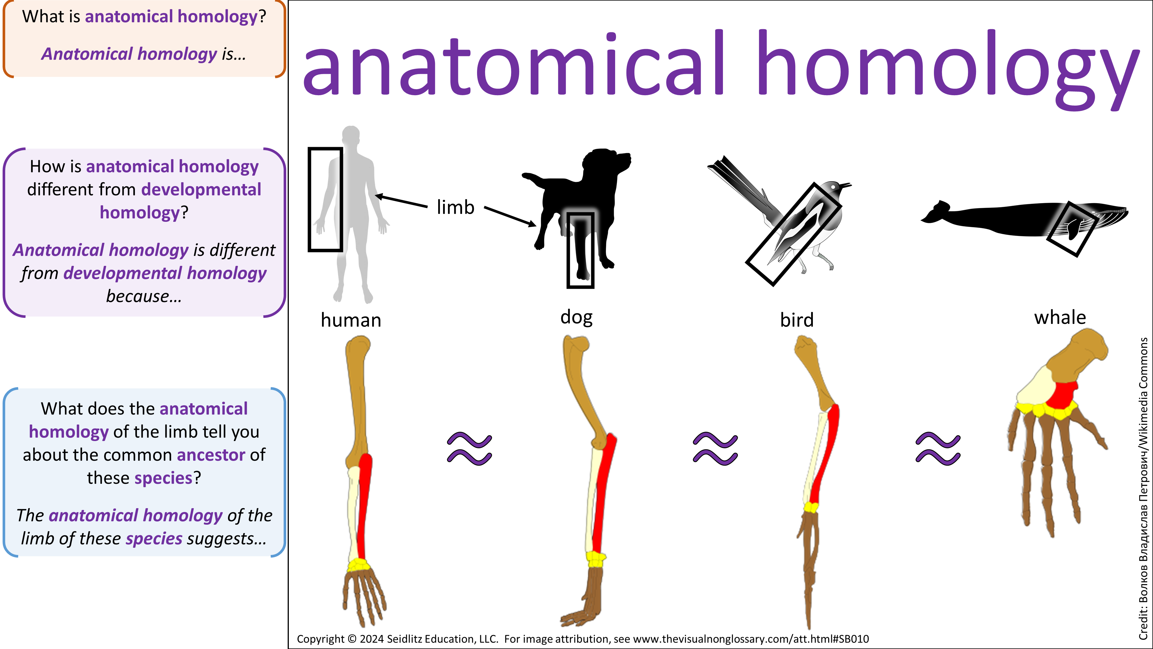 Science Visuals: The Visual Non-Glossary