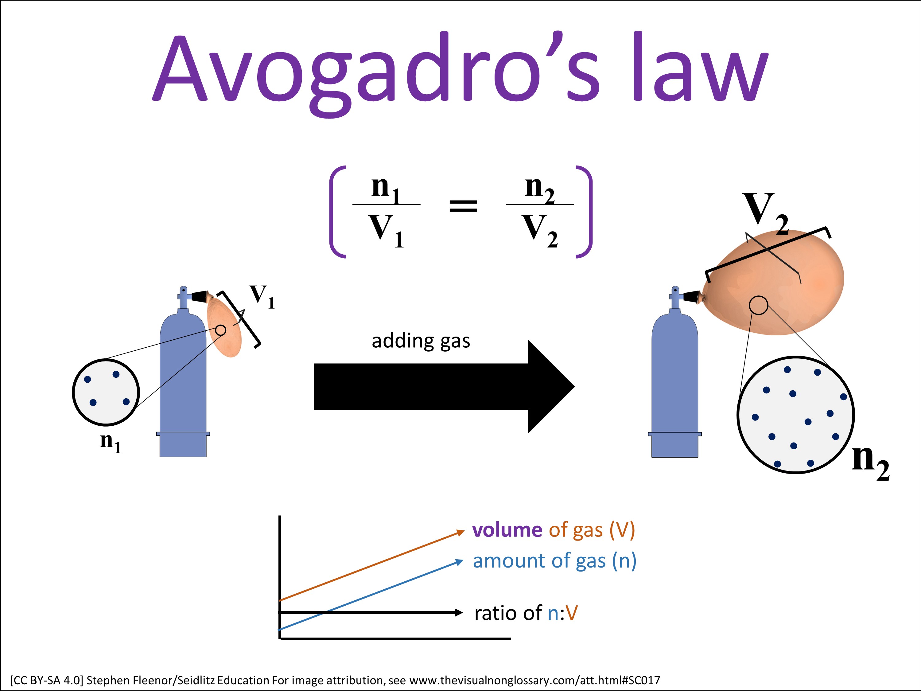 Science Visuals: The Visual Non-Glossary