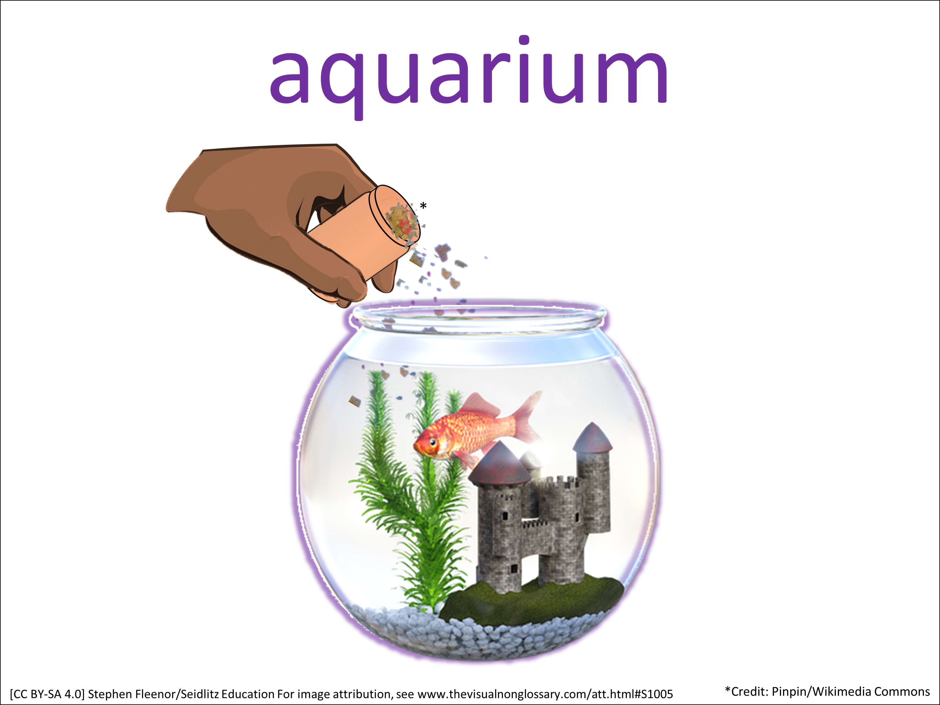 Science Visuals: The Visual Non-Glossary