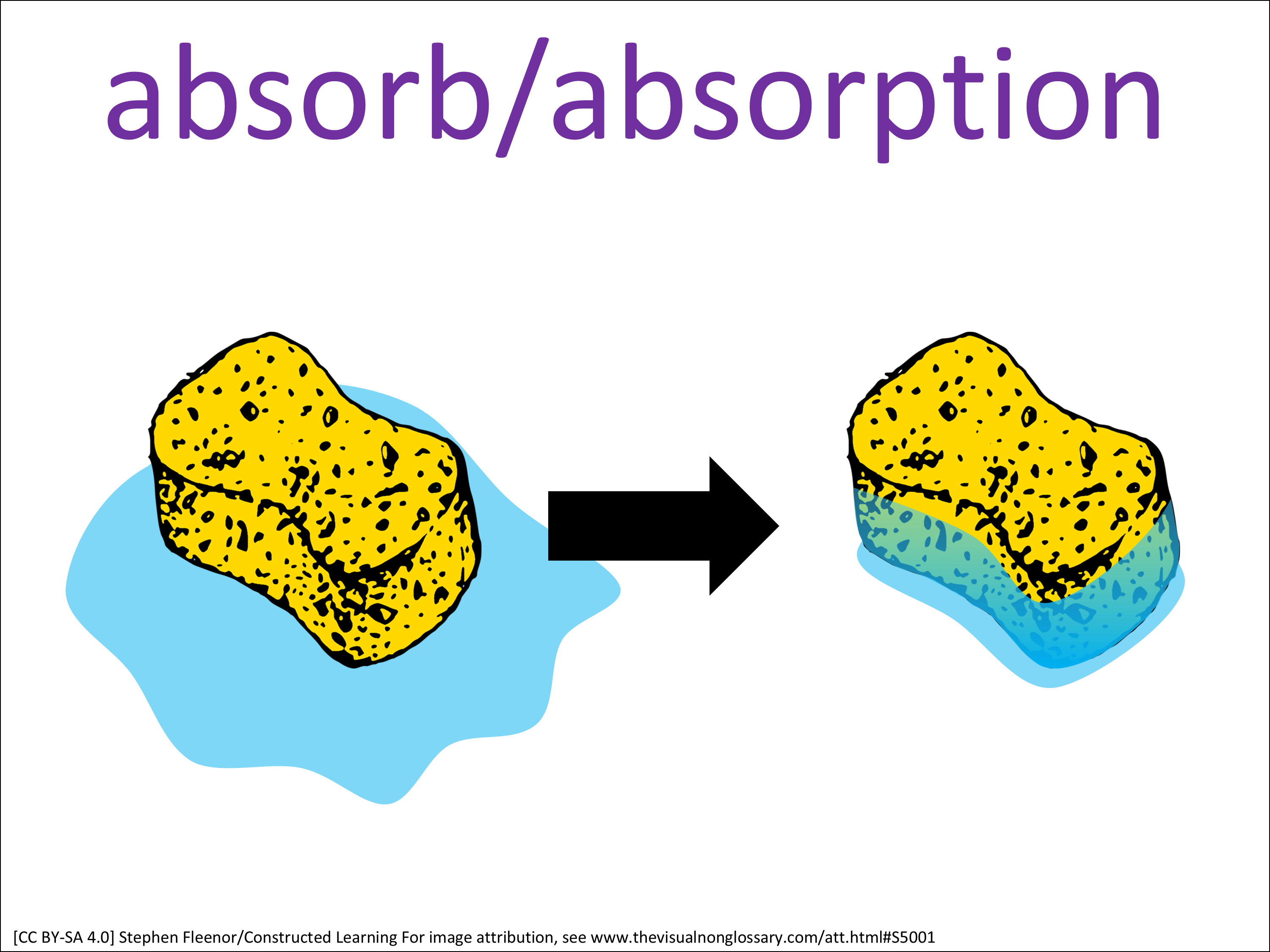 Science Based Visuals Science Visuals: The Visual Non-Glossary
