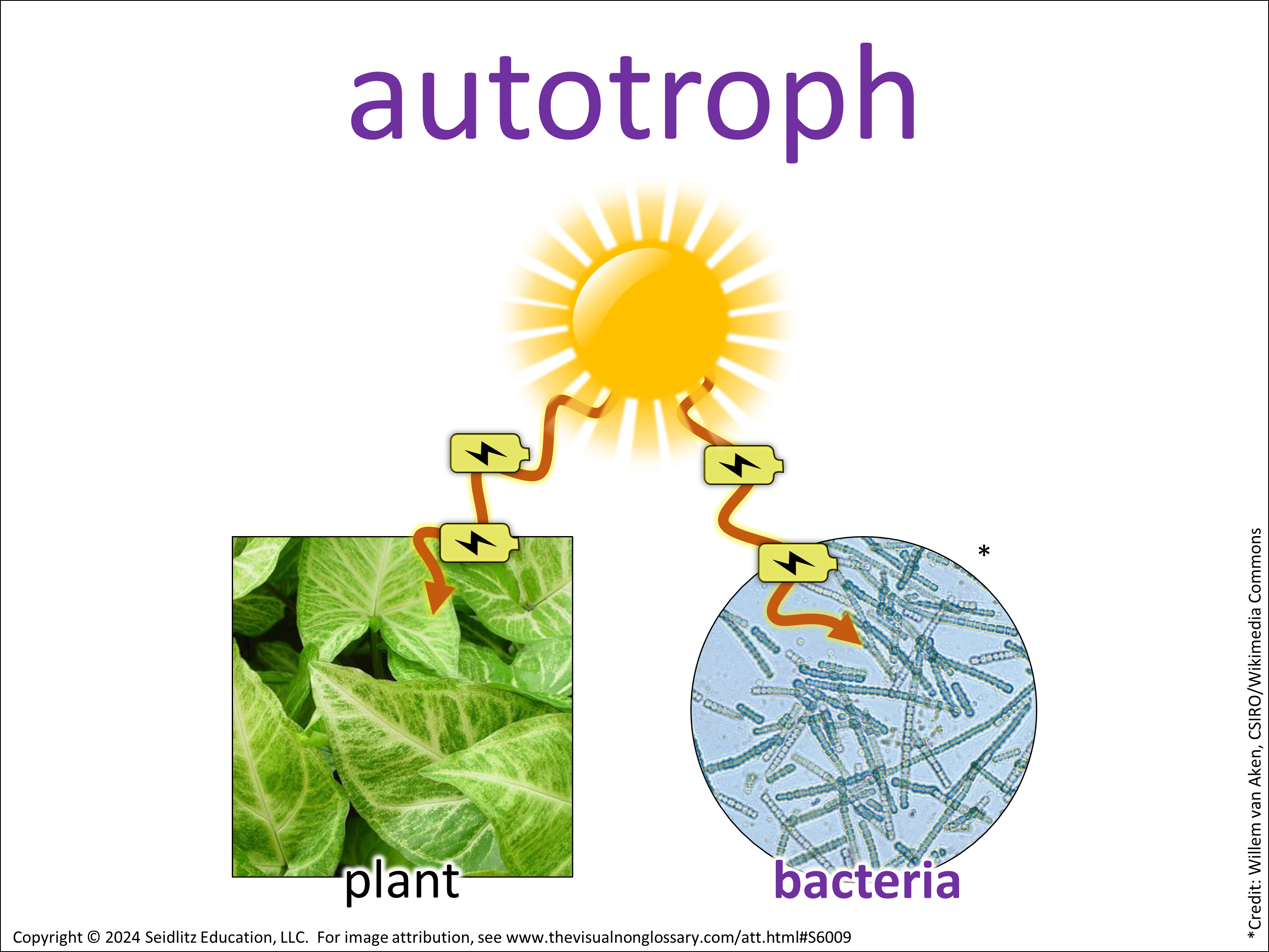 Science Visuals: The Visual Non-Glossary