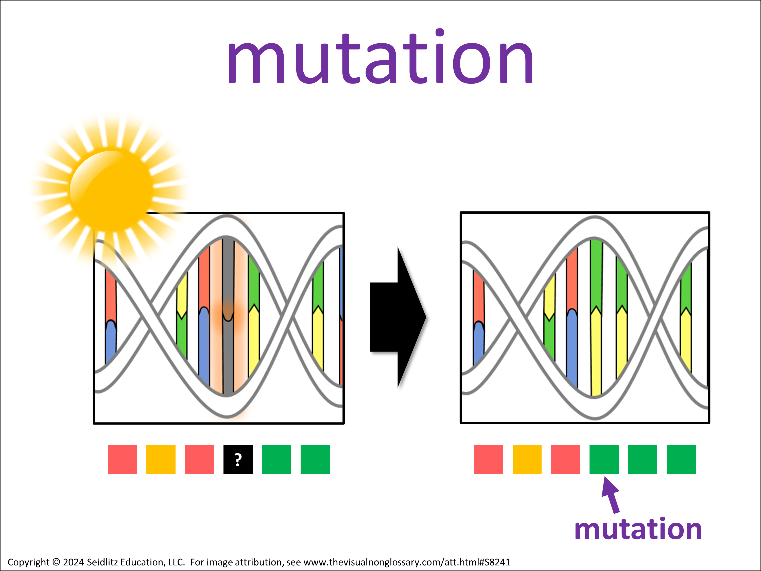 Science Visuals: The Visual Non-Glossary