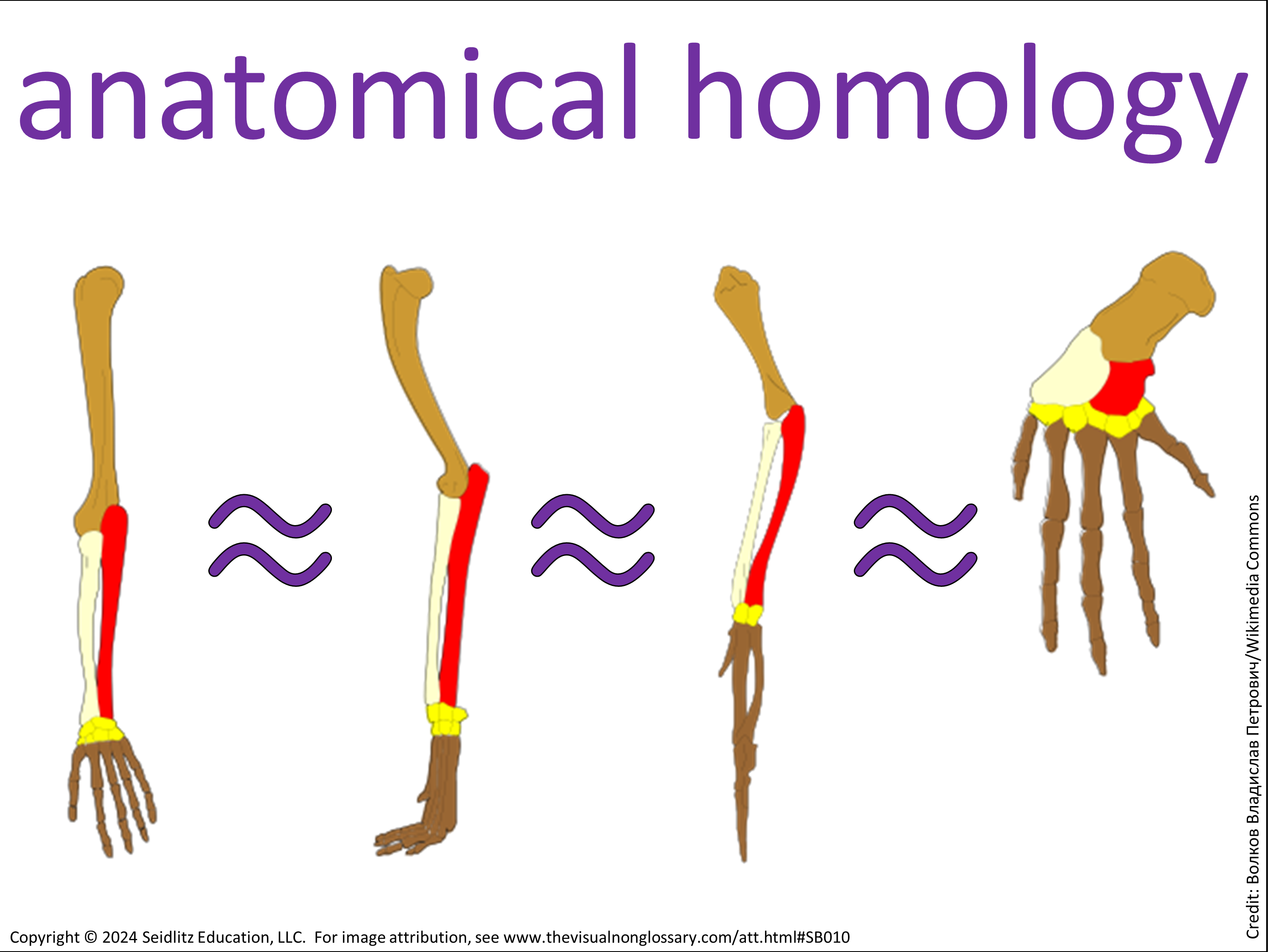 Science Visuals: The Visual Non-Glossary