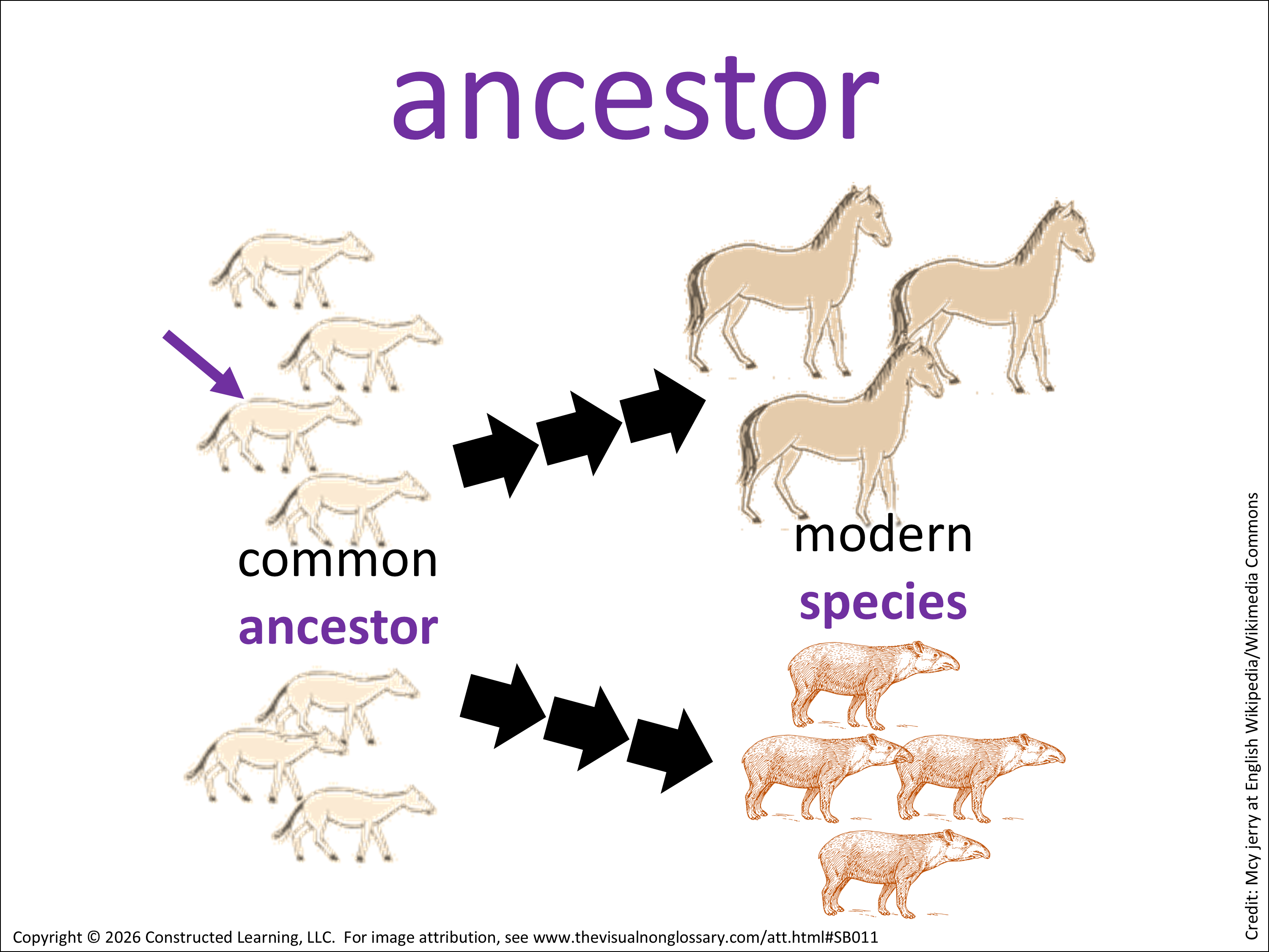 Something Rudimentary Science Visuals: The Visual Non-Glossary