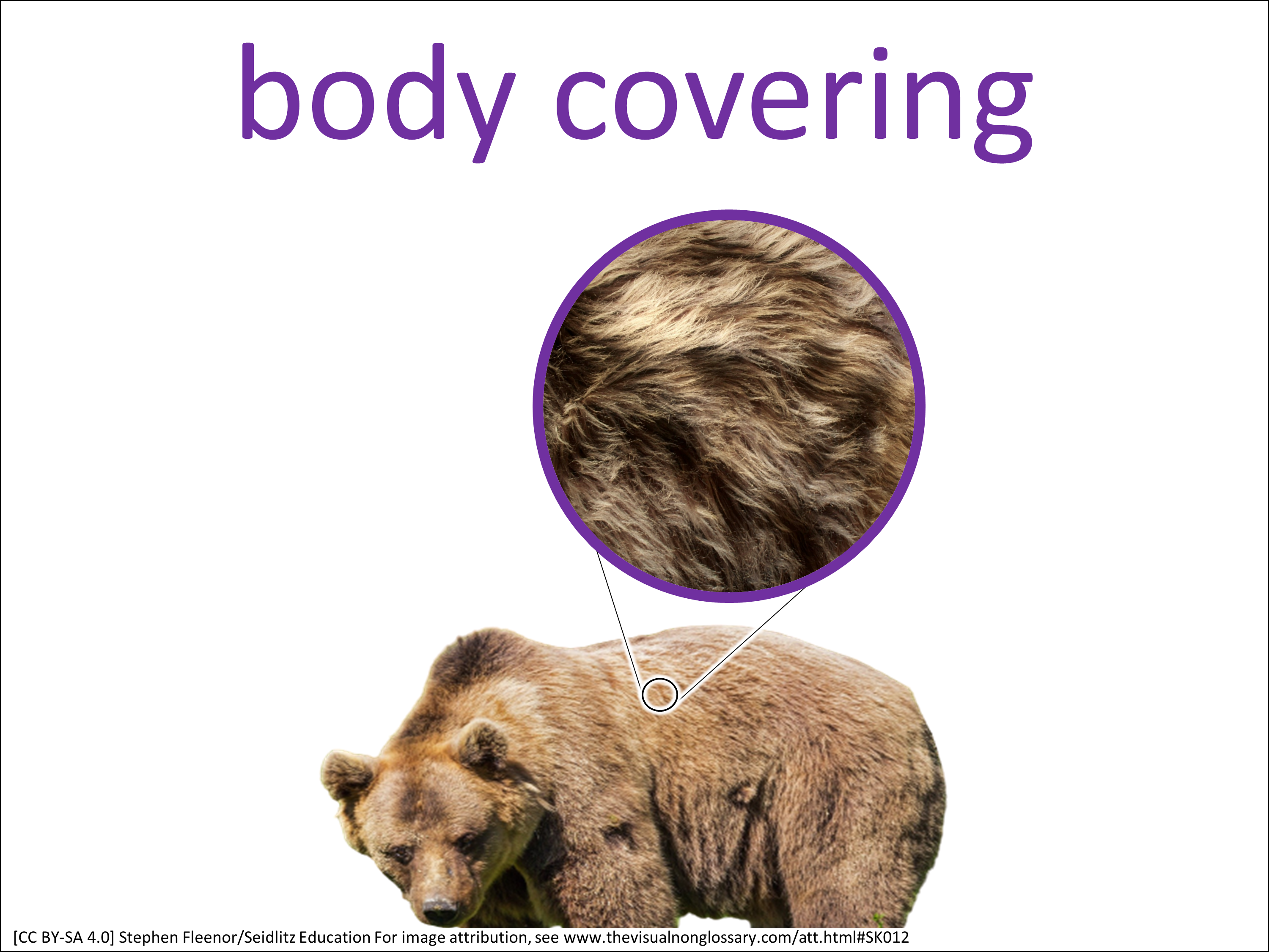 Science Visuals: The Visual Non-Glossary