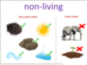non-living visual