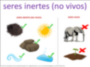 seres inertes visual