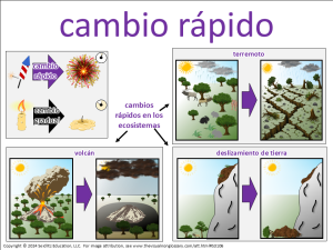 cambio rapido visual
