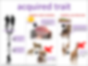 acquired trait visual