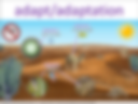 adapt/adaptation visual