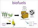 biofuels visual