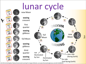 lunar cycle visual