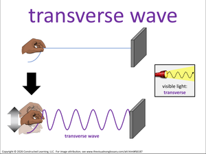 transverse wave visual