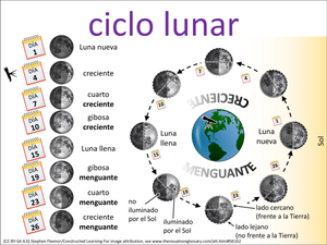 ciclo lunar visual