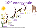 10% Energy Rule visual