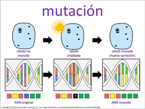 mutación visual