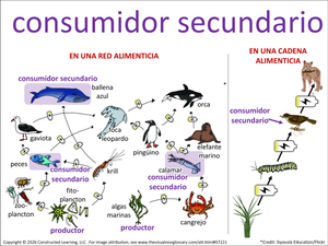 consumidor secundario visual