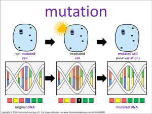 mutation visual