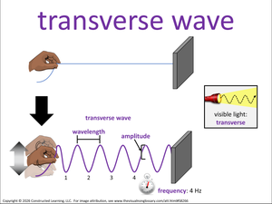 transverse wave visual