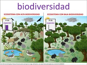 biodiversidad visual