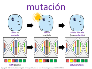 mutación visual