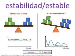 estabilidad/estable visual