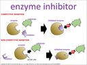 enzyme inhibitor visual