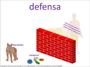 defensa/protección visual