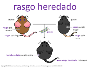 rasgo heredado visual