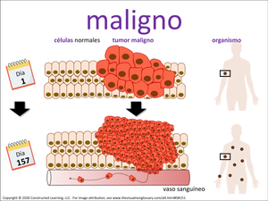 maligno visual