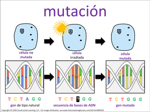 mutación visual