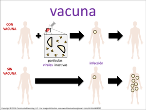 vacuna visual