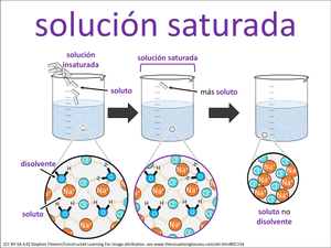 solución saturada visual