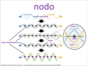 nodo visual