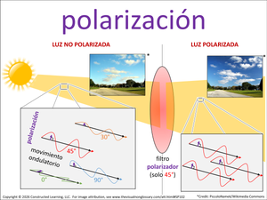 polarización visual